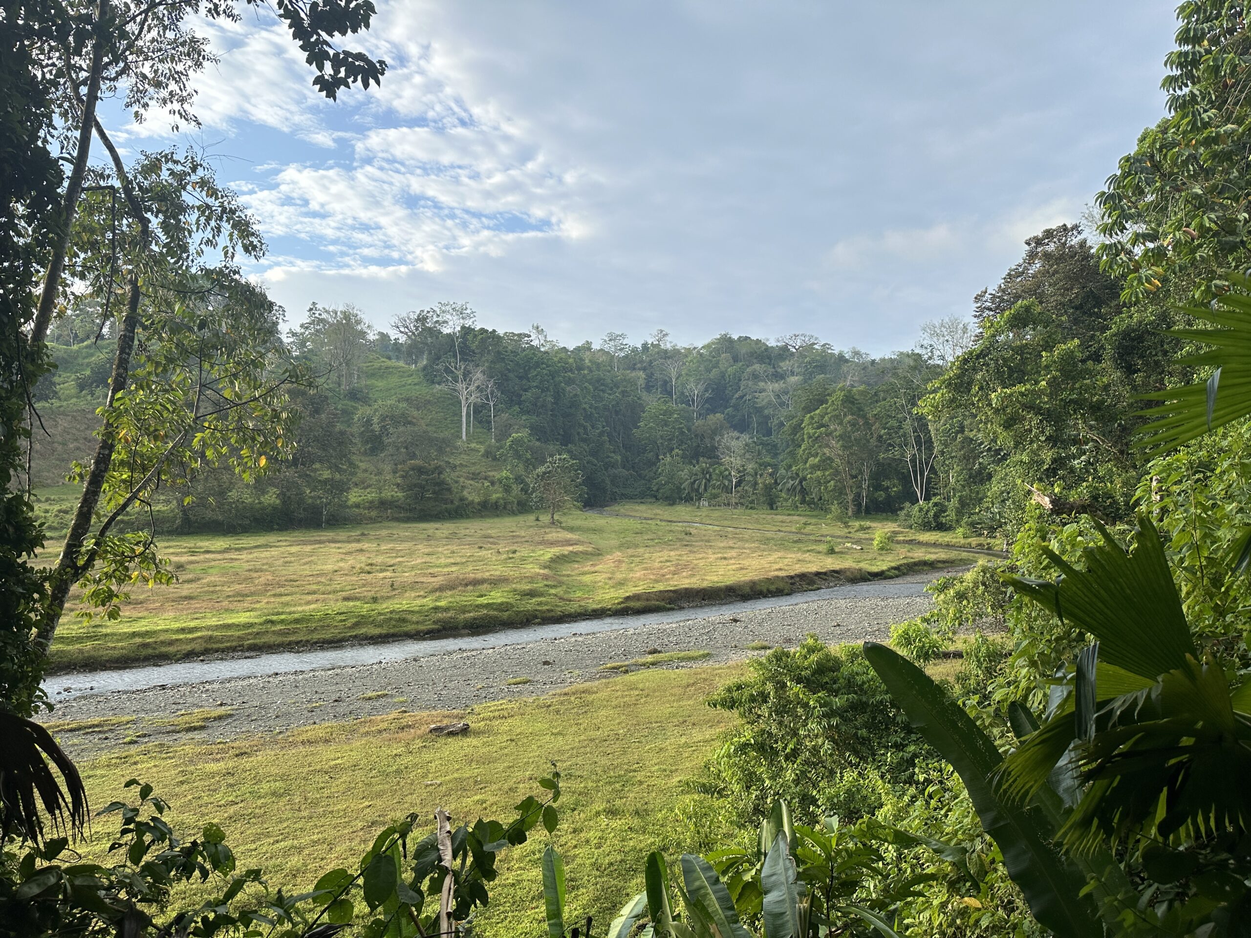Puri Mas River