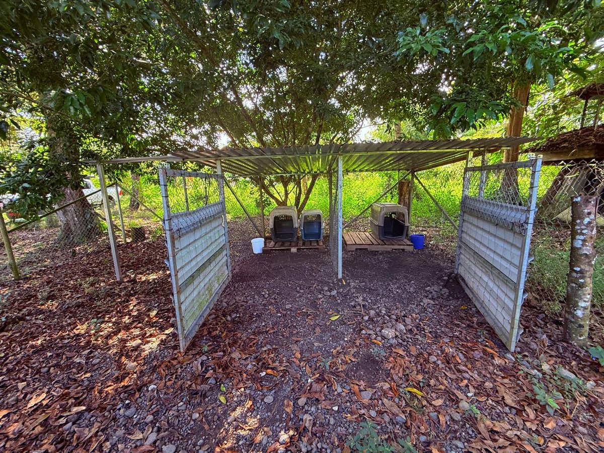 Current shelter