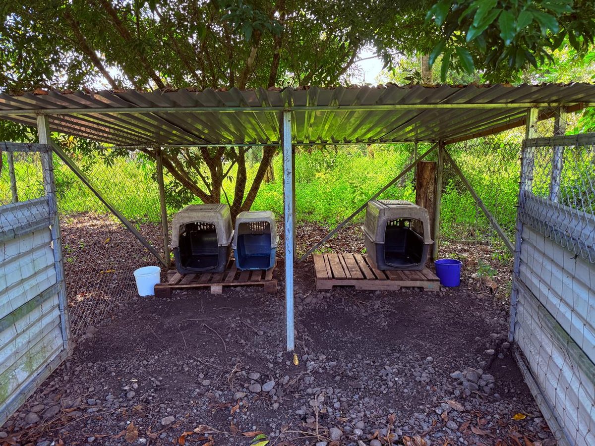Current shelter