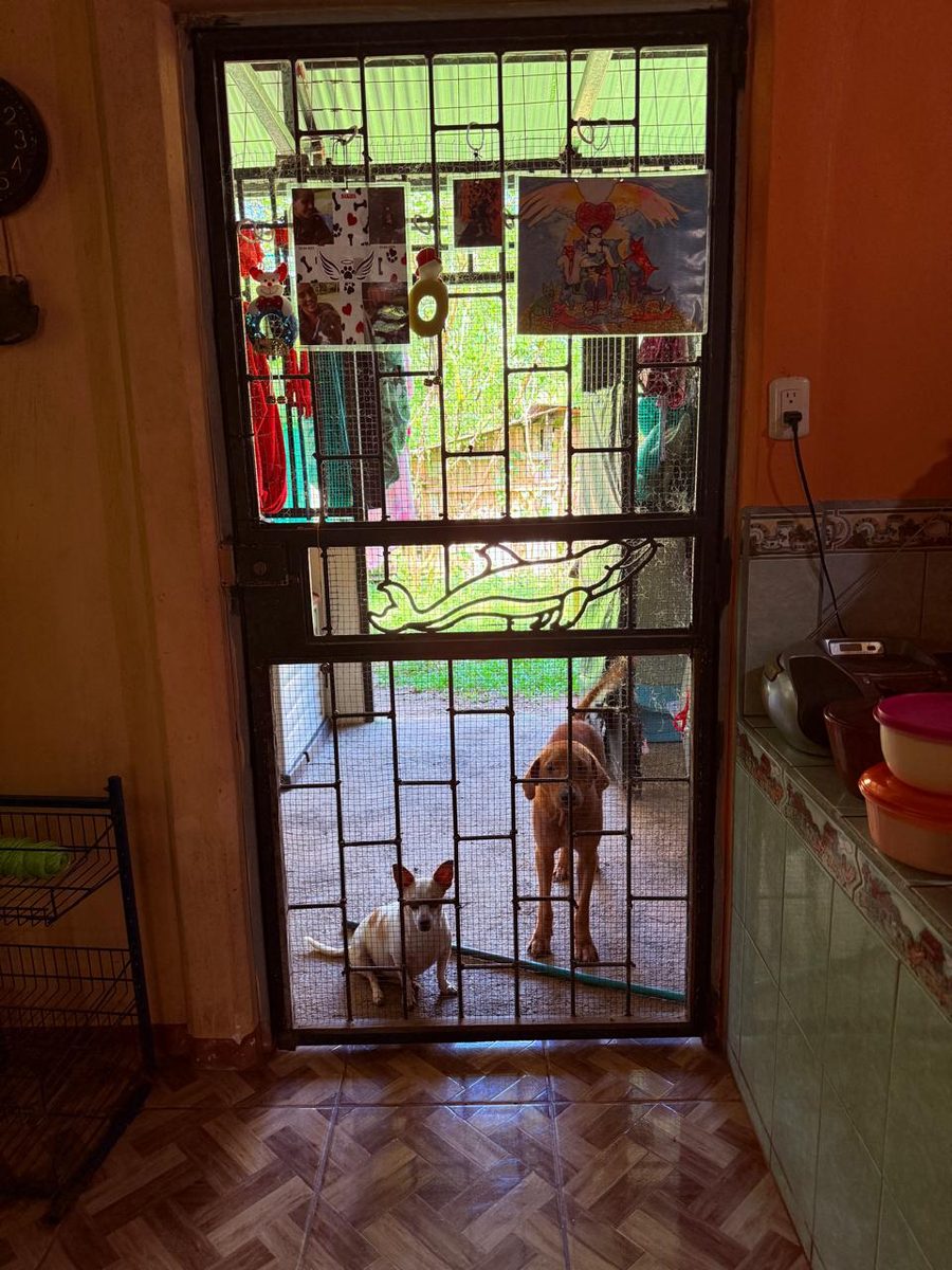 Current shelter